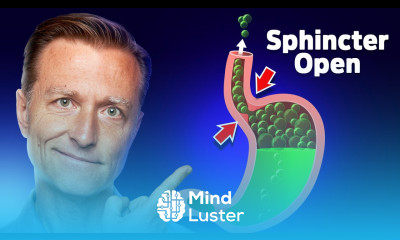 1 Remedy for Heartburn Acid Reflux GERD without Medications