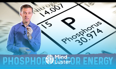 The Importance of Phosphorus for Energy – Dr Berg