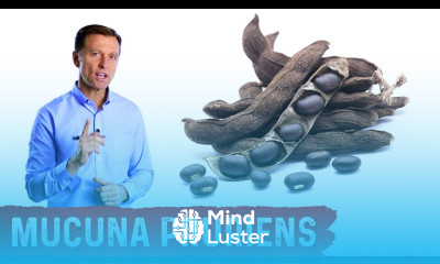 A Safer Adderall Alternative