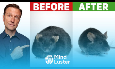 Hot Chili Peppers Will Melt Belly Fat On Your Pet Mouse OKAY