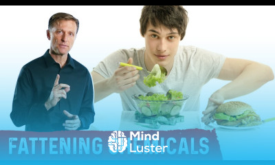 Eat This to Counter Obesogens