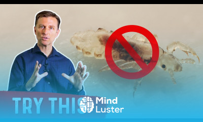 Head Lice Best Home Remedy