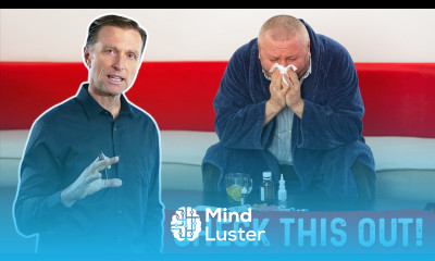 Why Being Fat Weakens Your Immune System