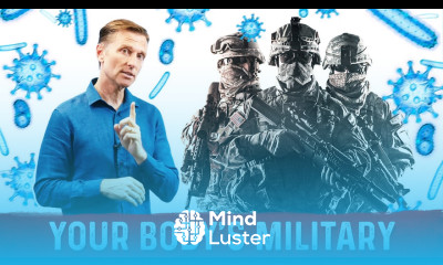 Your Immune System is a Highly Trained Military