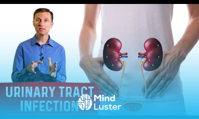 Top Remedies for a UTI Urinary Tract Infection Updated