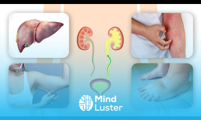 The Dangers of Urinary Retention on Your Kidneys