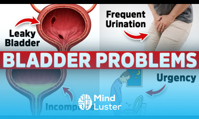 The 1 Vitamin Deficiency behind Bladder Issues Freq Urination Leaky Urgency