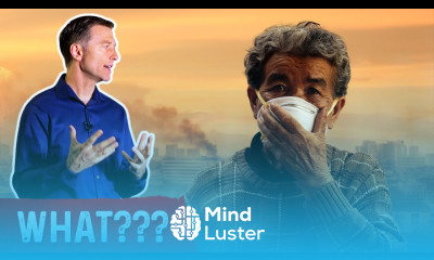 Air Pollution Can Cause Diabetes