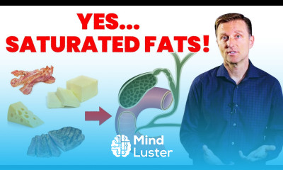 Dietary Fat Protects You From Gallstones OKAY