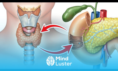The Vital Gallbladder Thyroid Connection