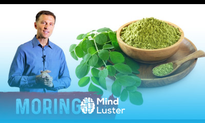The Benefits of Moringa