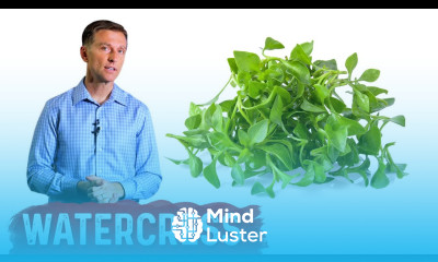 The Benefits of Watercress