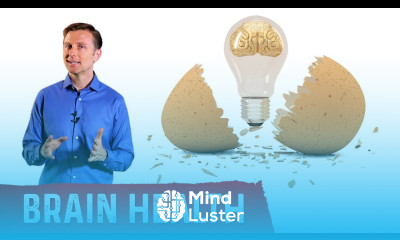 Why Eating Eggs Helps Your Brain