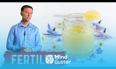 The Benefits of Royal Jelly OKAY