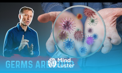 Don t Like Germs WATCH THIS