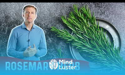 The Health Benefits of Rosemary