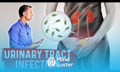 Top Natural Remedies for a UTI Urinary Tract Infection