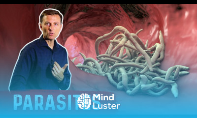 The Best Herbs for Parasites