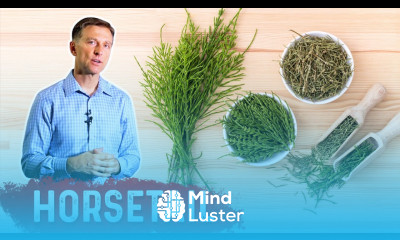 The Amazing Benefits of Horsetail OKAY