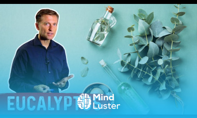 The Benefits of Eucalyptus