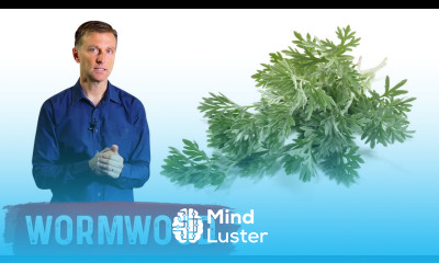 The Benefits of Wormwood