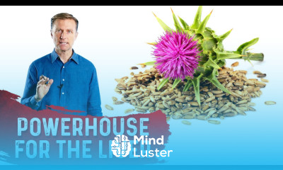 Silymarin in Milk Thistle is a Powerhouse for the Liver