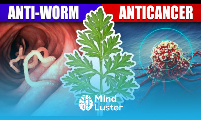 The Amazing Properties of Wormwood