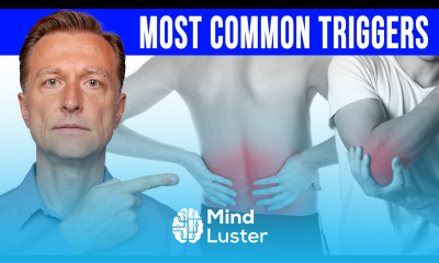 The 12 Triggers of Inflammation The Root Causes