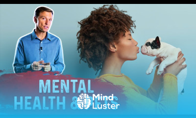 The Mental Health Benefits of Having a Pet