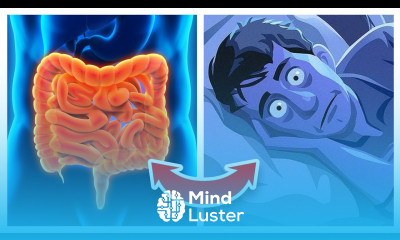 Why Insomniacs ALWAYS Have Gut Problems