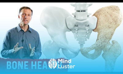 Seven Ways to Improve Bone Health