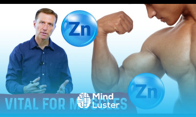 The Importance of Zinc for Muscles