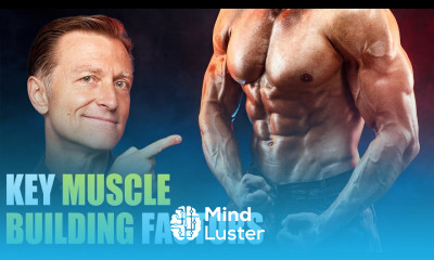 The MOST Important Factors in Building Muscle–Beyond Dietary Protein