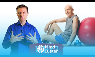 Why Does Exercise Increase Lifespan