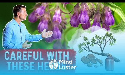 Dangerous Herbs You Need to Know About OKAY