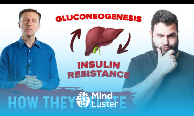 Insulin Resistance and Gluconeogenesis
