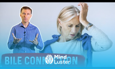 How Bile Affects Your Memory OKAY