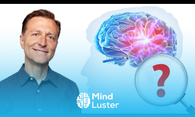 Why the 1 Best Brain Food to Boost Memory Focus is SALMON