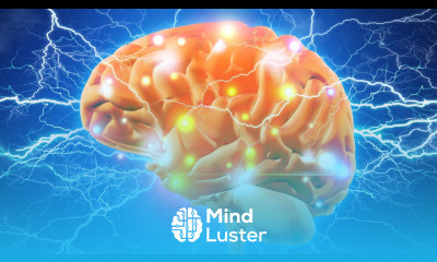 How to Boost Your Acetylcholine for Super Brain Power