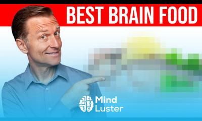 The 1 Best Food for Your Brain