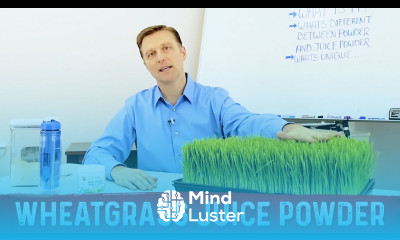 What is Wheatgrass Juice Powder Benefits Explained By Dr Berg