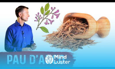 The Benefits of Pau d Arco