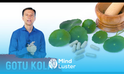 The Benefits of Gotu Kola