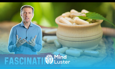 Medications Are Designed From Nature