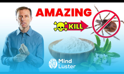 Stevia Kills Lyme Pathogen New Study