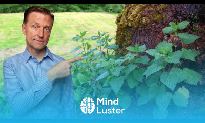 1 Best Backyard Weed for Arthritis RHEUMATOID OSTEO GOUT