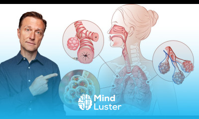 The BEST Remedy for Your Lungs Infection Asthma and COPD