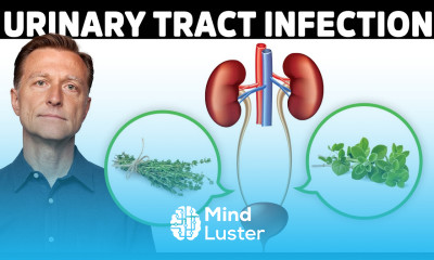 1 Best Remedy for a UTI Urinary Tract Infection