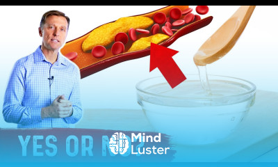 Does MCT Oil Raise Your Cholesterol