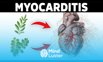 The Best Remedies for Myocarditis
